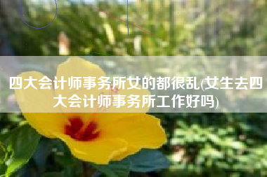 详细阅读:四大会计师事务所女的都很乱(女生去四大会计师事务所工作好吗) 四大会计师事务所女的都很乱(女生去四大会计师事务所工作好吗)