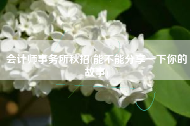 会计师事务所秋招(能不能分享一下你的故事)