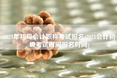 详细阅读:2021年初级会计职称考试报名(2021会计初级考试时间报名时间) 2021年初级会计职称考试报名(2021会计初级考试时间报名时间)