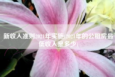 新收入准则2021年实施(2021年的公租房最低收入是多少)