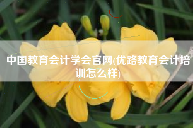 中国教育会计学会官网(优路教育会计培训怎么样)