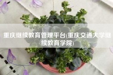 重庆继续教育管理平台(重庆交通大学继续教育学院)