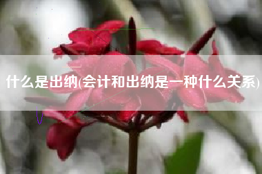 什么是出纳(会计和出纳是一种什么关系)