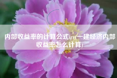 内部收益率的计算公式irr(一建经济内部收益率怎么计算)