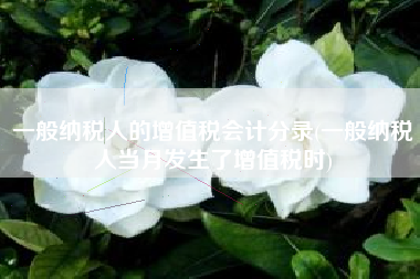 一般纳税人的增值税会计分录(一般纳税人当月发生了增值税时)