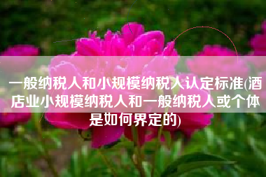 一般纳税人和小规模纳税人认定标准(酒店业小规模纳税人和一般纳税人或个体是如何界定的)