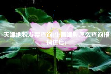 天津地税发票查询(生育津贴怎么查询报销进度)