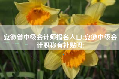 安徽省中级会计师报名入口(安徽中级会计职称有补贴吗)