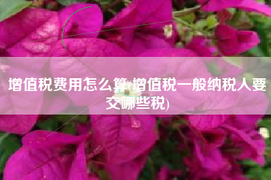 增值税费用怎么算(增值税一般纳税人要交哪些税)