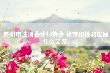 苏州市注册会计师协会(徐芳和徐熙媛是什么关系)
