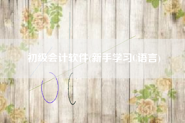 初级会计软件(新手学习C语言)