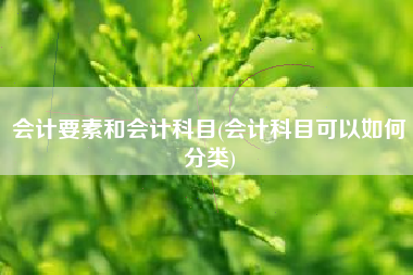 会计要素和会计科目(会计科目可以如何分类)