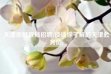 天津市财政局招聘(谈谈你了解的天津公务员)