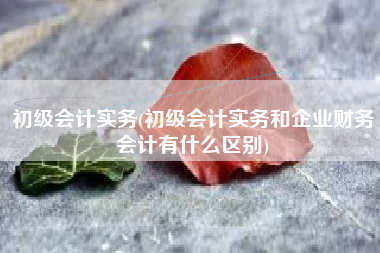 初级会计实务(初级会计实务和企业财务会计有什么区别)