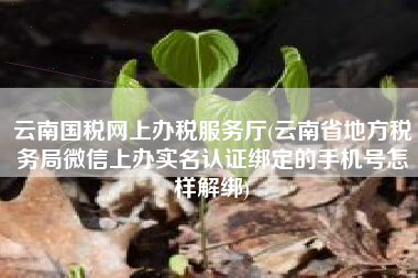 云南国税网上办税服务厅(云南省地方税务局微信上办实名认证绑定的手机号怎样解绑)