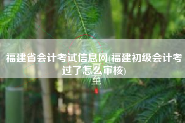 详细阅读:福建省会计考试信息网(福建初级会计考过了怎么审核) 福建省会计考试信息网(福建初级会计考过了怎么审核)