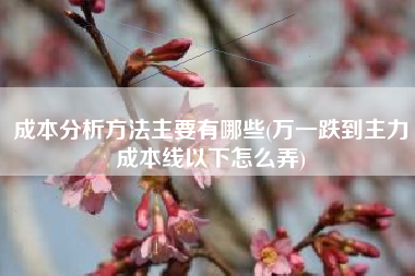 成本分析方法主要有哪些(万一跌到主力成本线以下怎么弄)