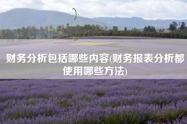 财务分析包括哪些内容(财务报表分析都使用哪些方法)