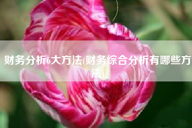 财务分析6大方法(财务综合分析有哪些方法)