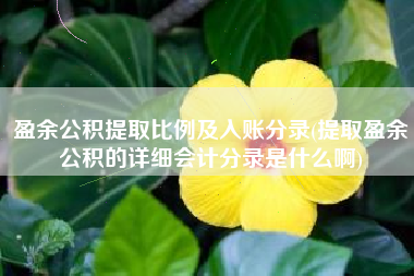 盈余公积提取比例及入账分录(提取盈余公积的详细会计分录是什么啊)