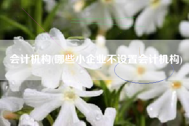 会计机构(哪些小企业不设置会计机构)