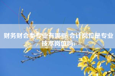 财务财会类专业有哪些(会计岗位是专业技术岗位吗)