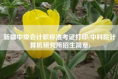 新疆中级会计职称准考证打印(中科院计算机研究所招生简章)