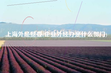 上海外经贸委(企业外经办是什么部门)