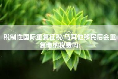 税制性国际重复征税(马耳他移民后会重复缴纳税费吗)