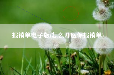 报销单电子版(怎么开医保报销单)