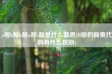 a股b股h股n股s股是什么意思(H股的股票代码有什么区别)