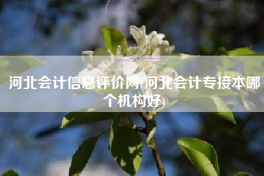 河北会计信息评价网(河北会计专接本哪个机构好)