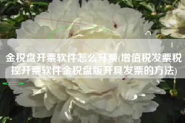 金税盘开票软件怎么开票(增值税发票税控开票软件金税盘版开具发票的方法)