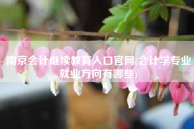 详细阅读:南京会计继续教育入口官网(会计学专业就业方向有哪些) 南京会计继续教育入口官网(会计学专业就业方向有哪些)