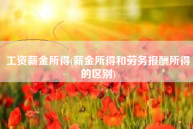 工资薪金所得(薪金所得和劳务报酬所得的区别)