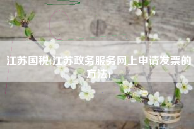 江苏国税(江苏政务服务网上申请发票的方法)