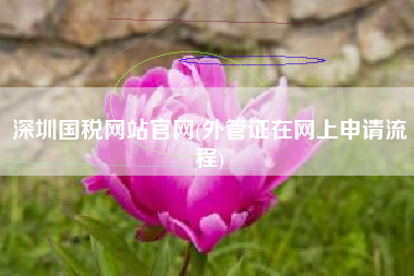 详细阅读:深圳国税网站官网(外管证在网上申请流程) 深圳国税网站官网(外管证在网上申请流程)