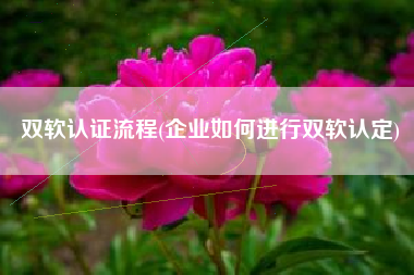 双软认证流程(企业如何进行双软认定)