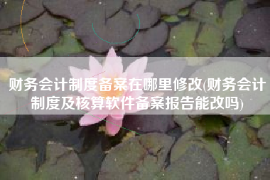 财务会计制度备案在哪里修改(财务会计制度及核算软件备案报告能改吗)