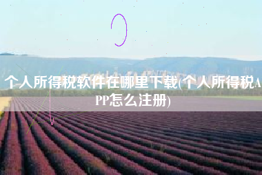 个人所得税软件在哪里下载(个人所得税APP怎么注册)