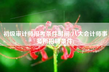 初级审计师报考条件时间(八大会计师事务所招聘条件)