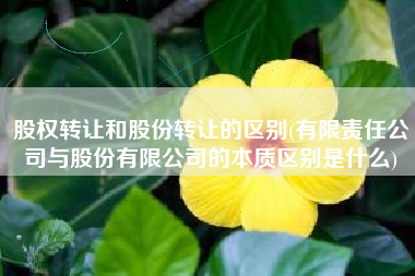 股权转让和股份转让的区别(有限责任公司与股份有限公司的本质区别是什么)