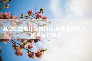 其他收益是什么类科目(其他业务收入二级科目有哪些)