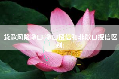 贷款风险敞口(敞口授信和非敞口授信区别)