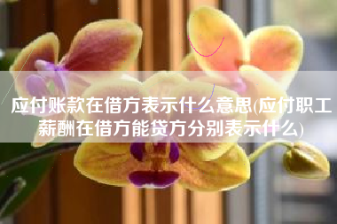 应付账款在借方表示什么意思(应付职工薪酬在借方能贷方分别表示什么)