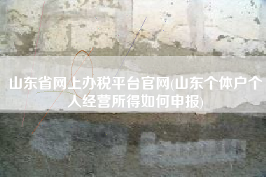 山东省网上办税平台官网(山东个体户个人经营所得如何申报)
