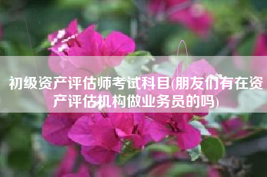 详细阅读:初级资产评估师考试科目(朋友们有在资产评估机构做业务员的吗) 初级资产评估师考试科目(朋友们有在资产评估机构做业务员的吗)