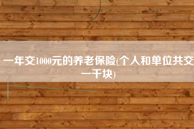 详细阅读:一年交1000元的养老保险(个人和单位共交一千块) 一年交1000元的养老保险(个人和单位共交一千块)