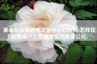 基金从业资格考试报名入口时间(怎样在股票账户上开通要买的基金公司)