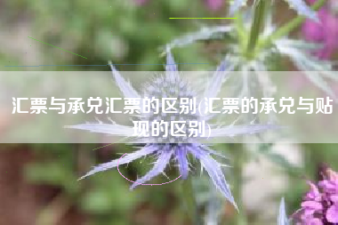 详细阅读:汇票与承兑汇票的区别(汇票的承兑与贴现的区别) 汇票与承兑汇票的区别(汇票的承兑与贴现的区别)